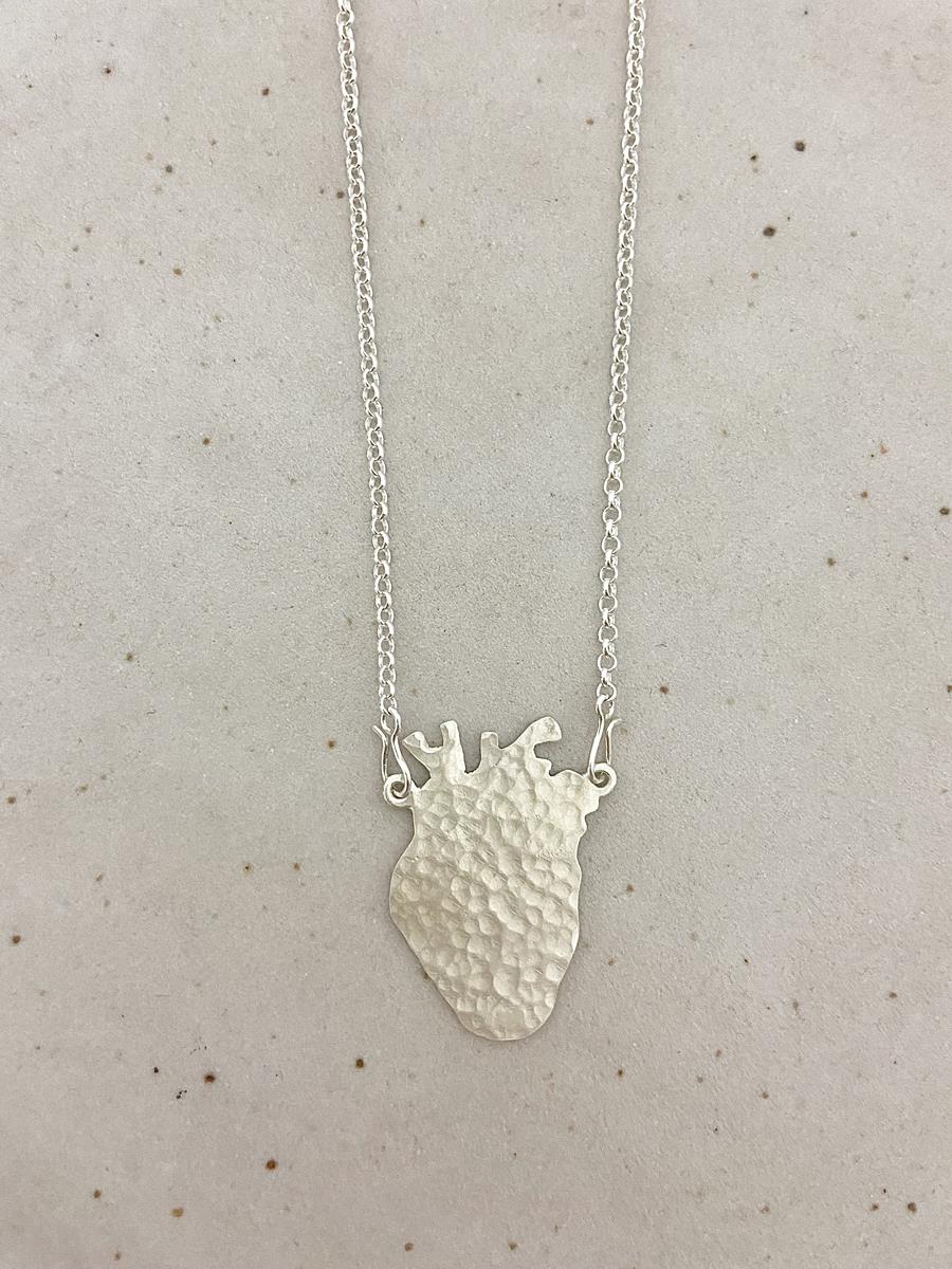 Colar Plantar Processo